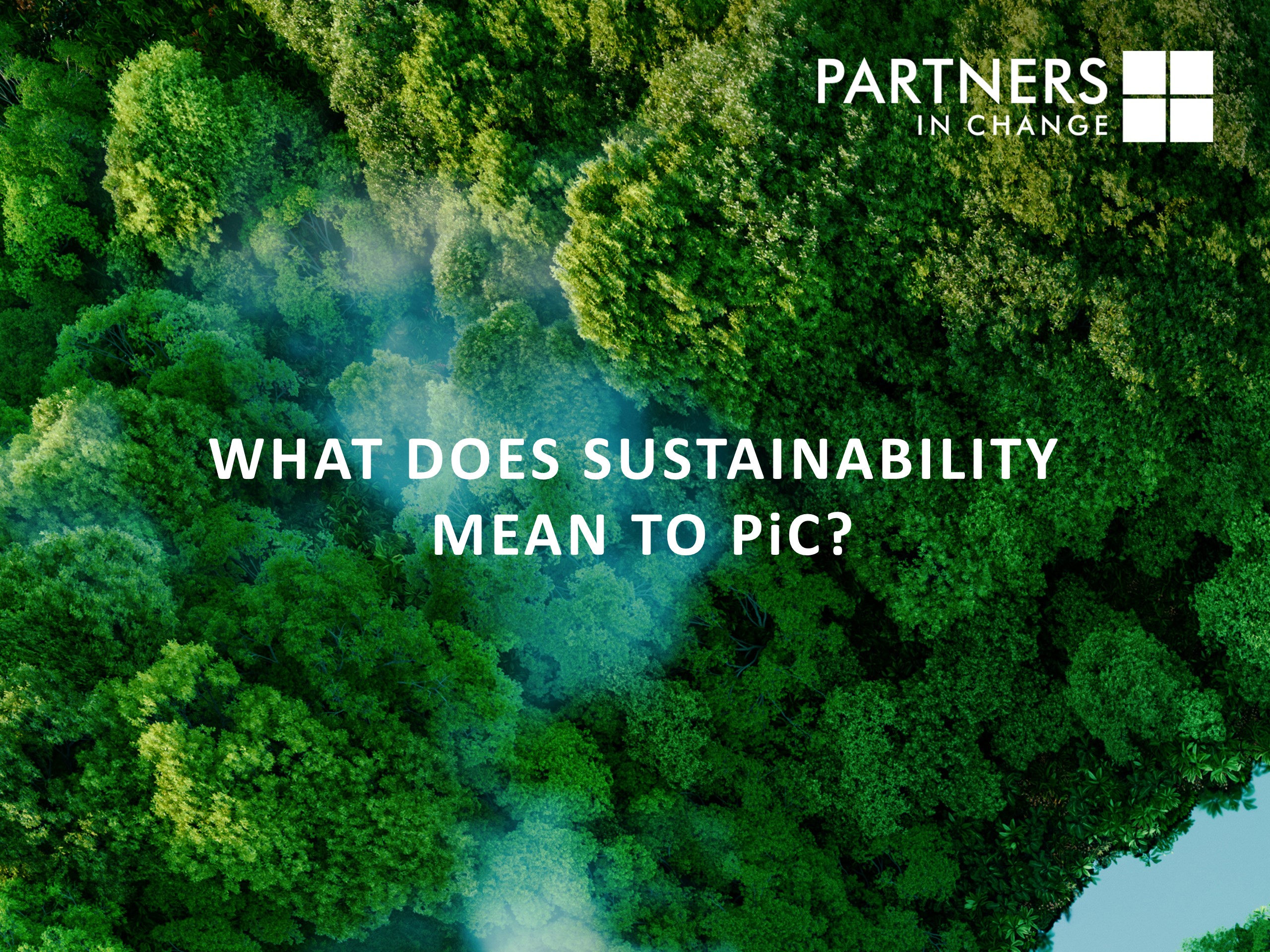 What does sustainability mean to PiC