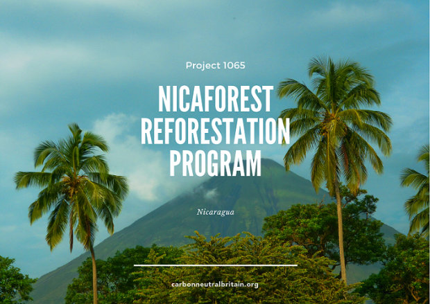 nica 1
