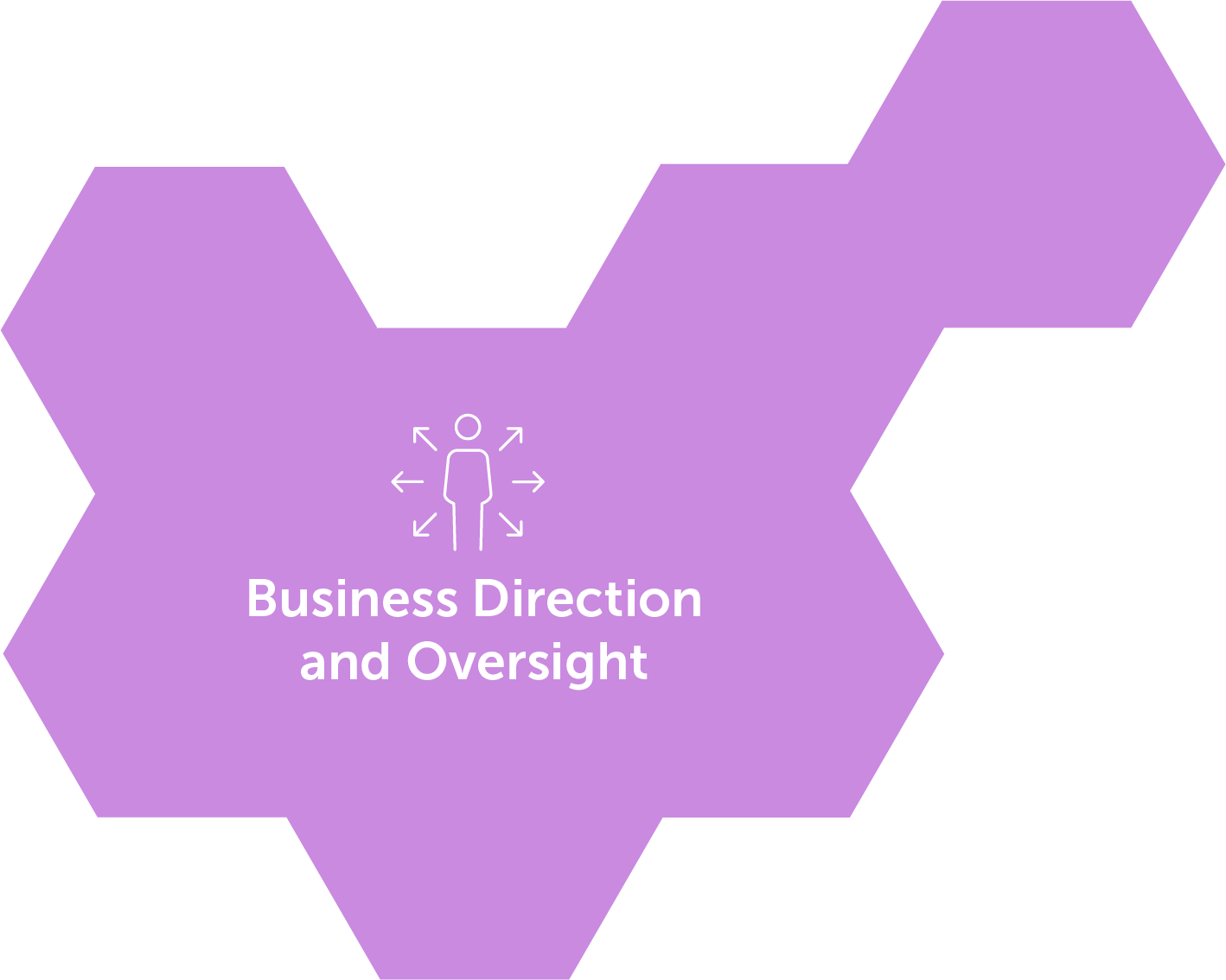 Business Direction and Oversight