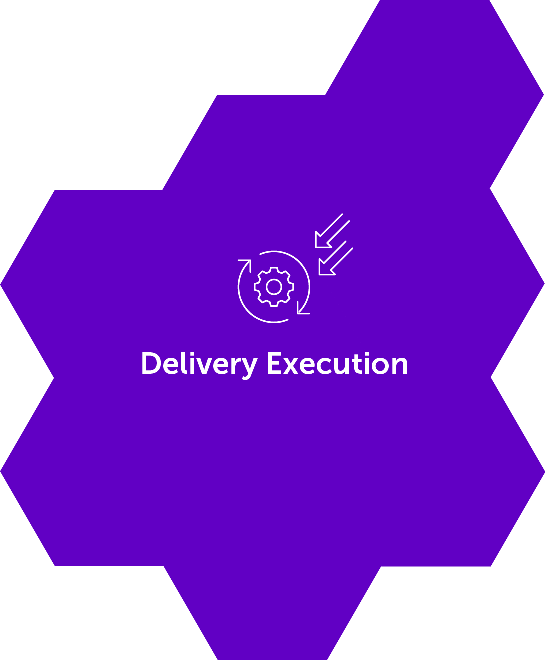 Delivery Execution