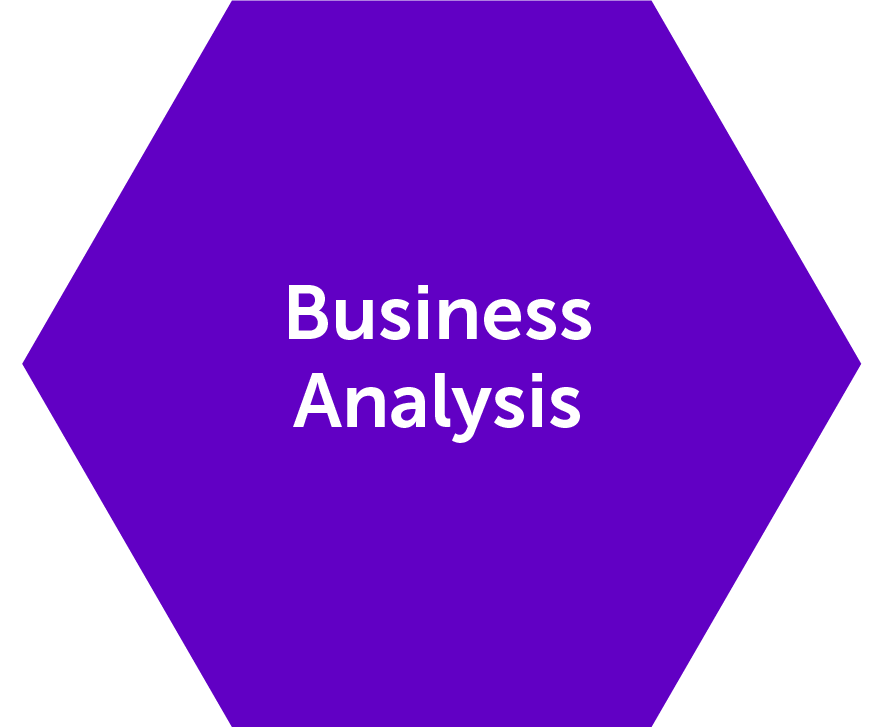 pic business analysis@4x