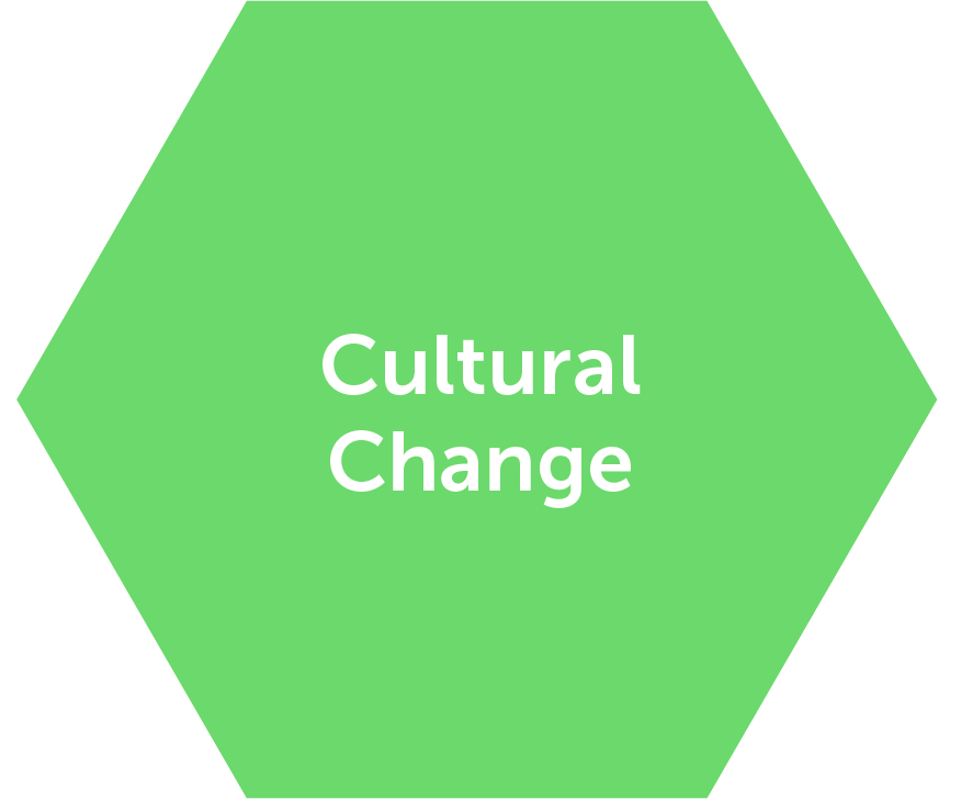 pic cultural change@4x