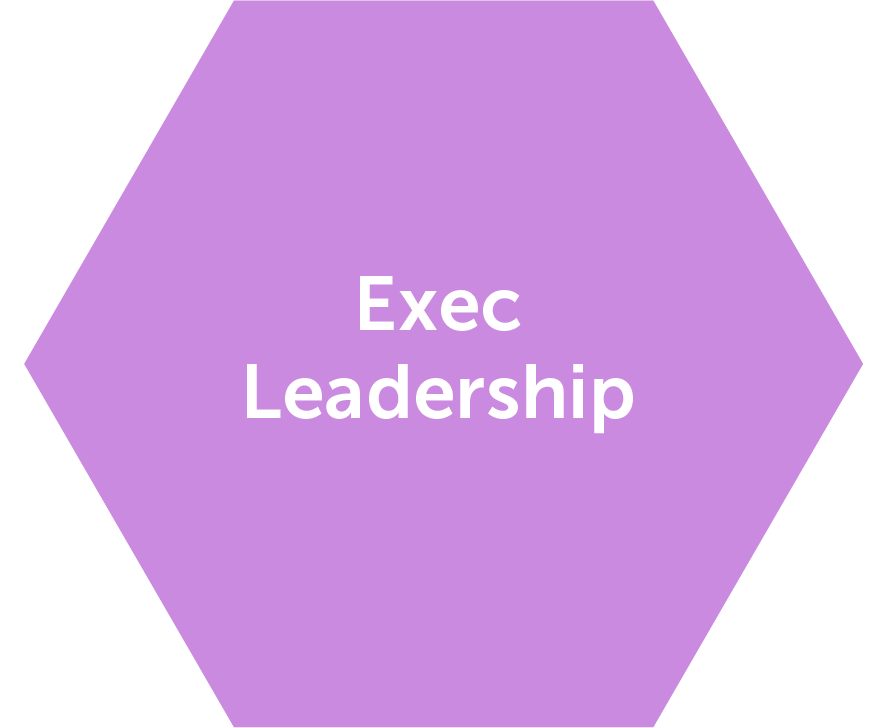 pic exec leadership@4x