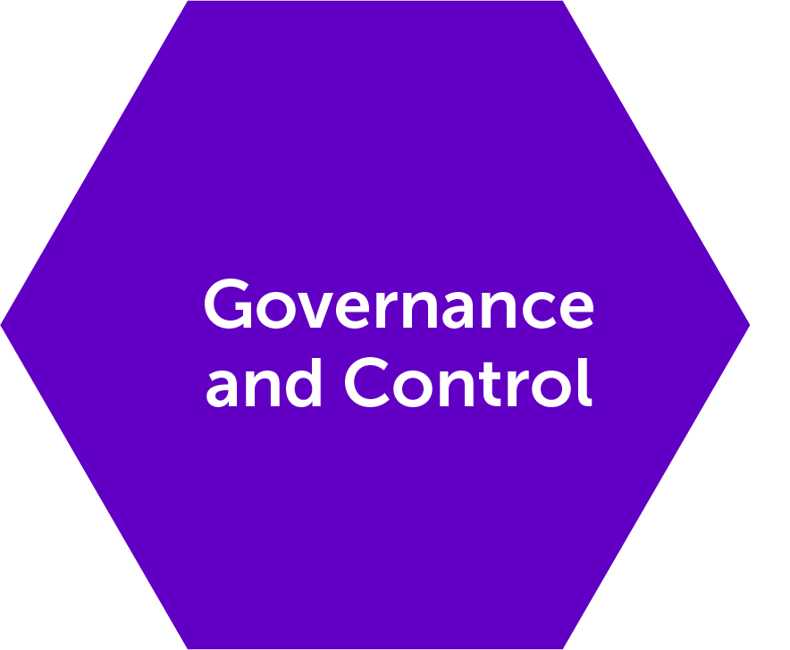 pic governance control@4x