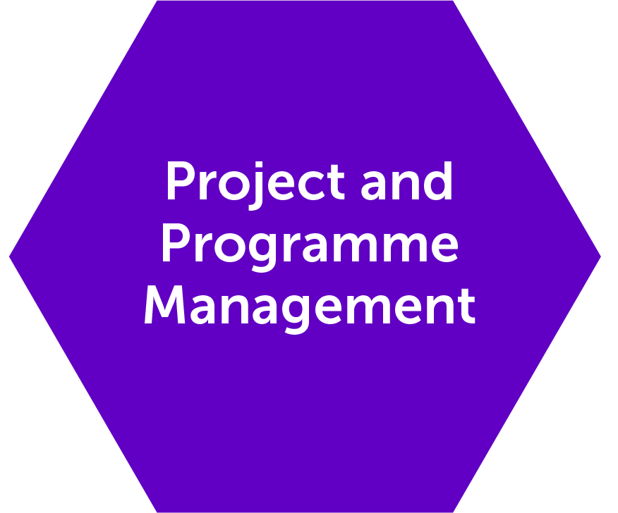pic project and programme@4x