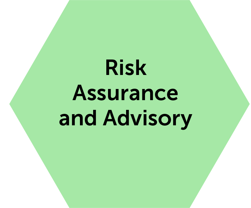 pic risk assurance@4x
